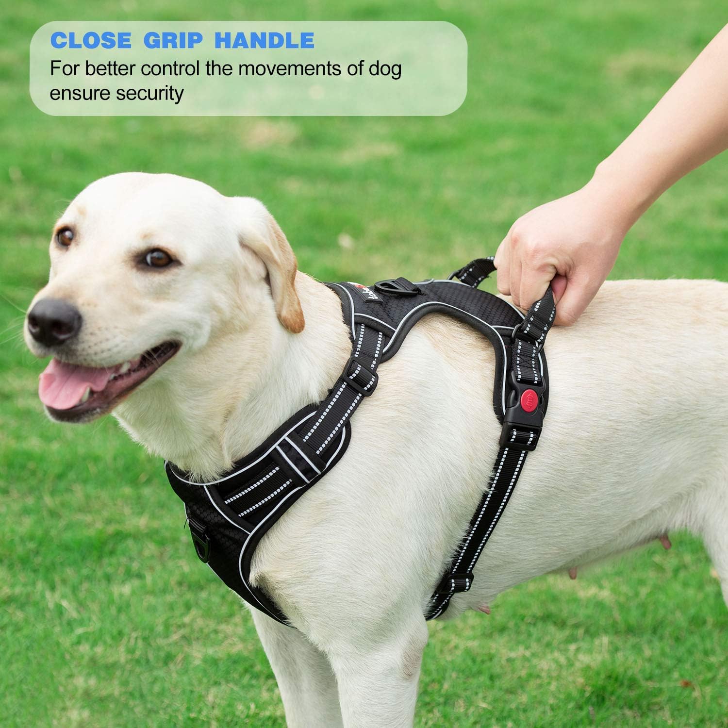 No Pull Dog Harness Adjustable Reflective Oxford Easy Control Medium Large Dog Harness with A Free Heavy Duty 5ft Dog