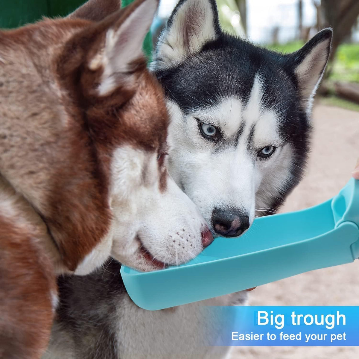 Portable Dog Small Animals Water Bottle for Walking 19 OZ or 12 OZ Pet Water Bottles for Puppy Medium Large Dogs