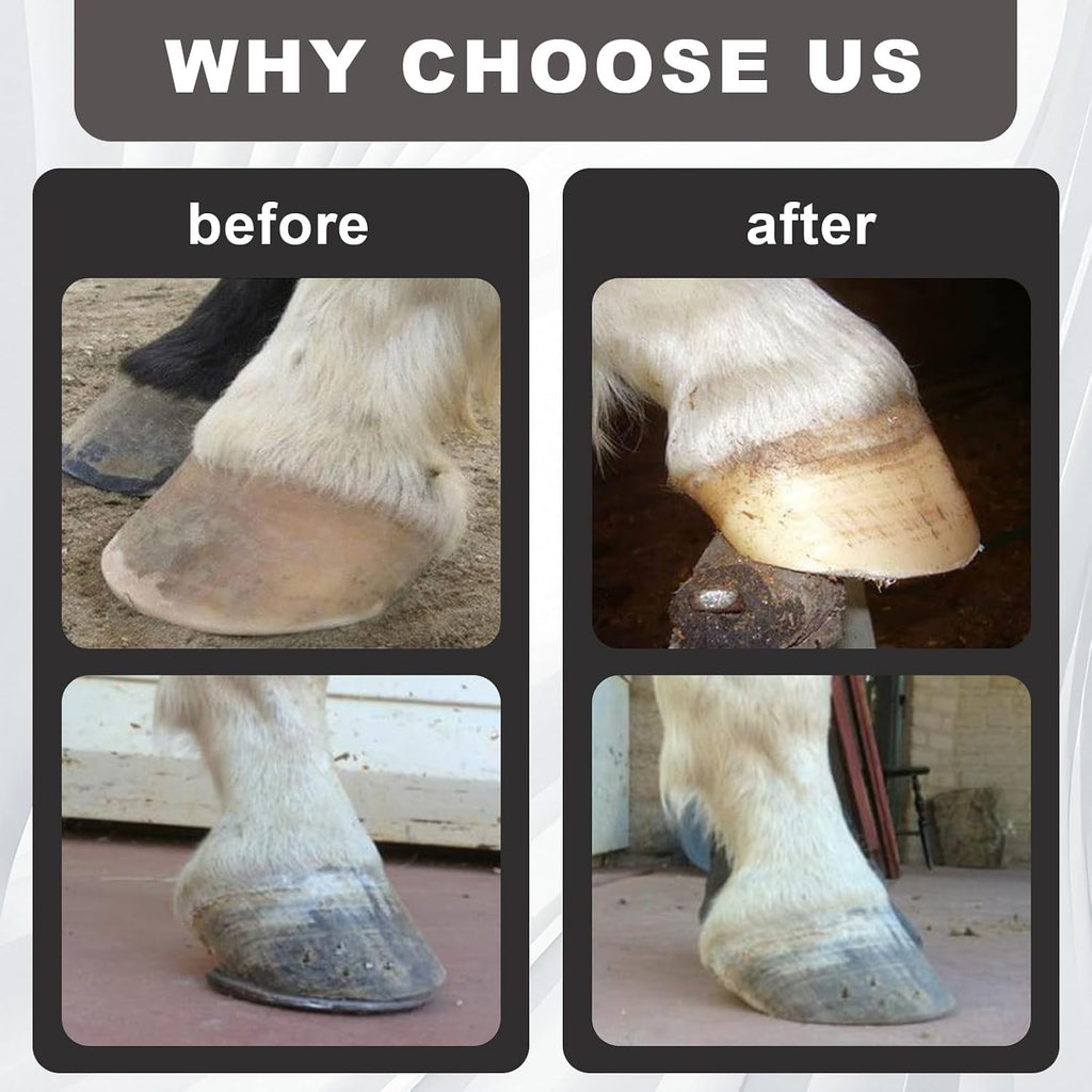 Mini Hoof Rasp for Horses, Farrier Rasp for Goat Feet Hooves,Ergonomic Grip