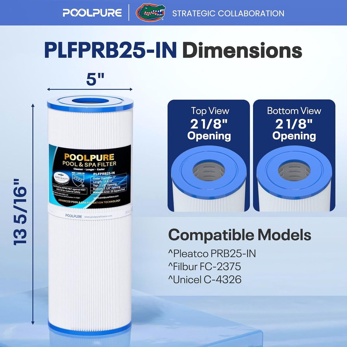 POOLPURE PRB25-IN Hot Tub Filter Replace Unicel C-4326, 3005845, 1Pack