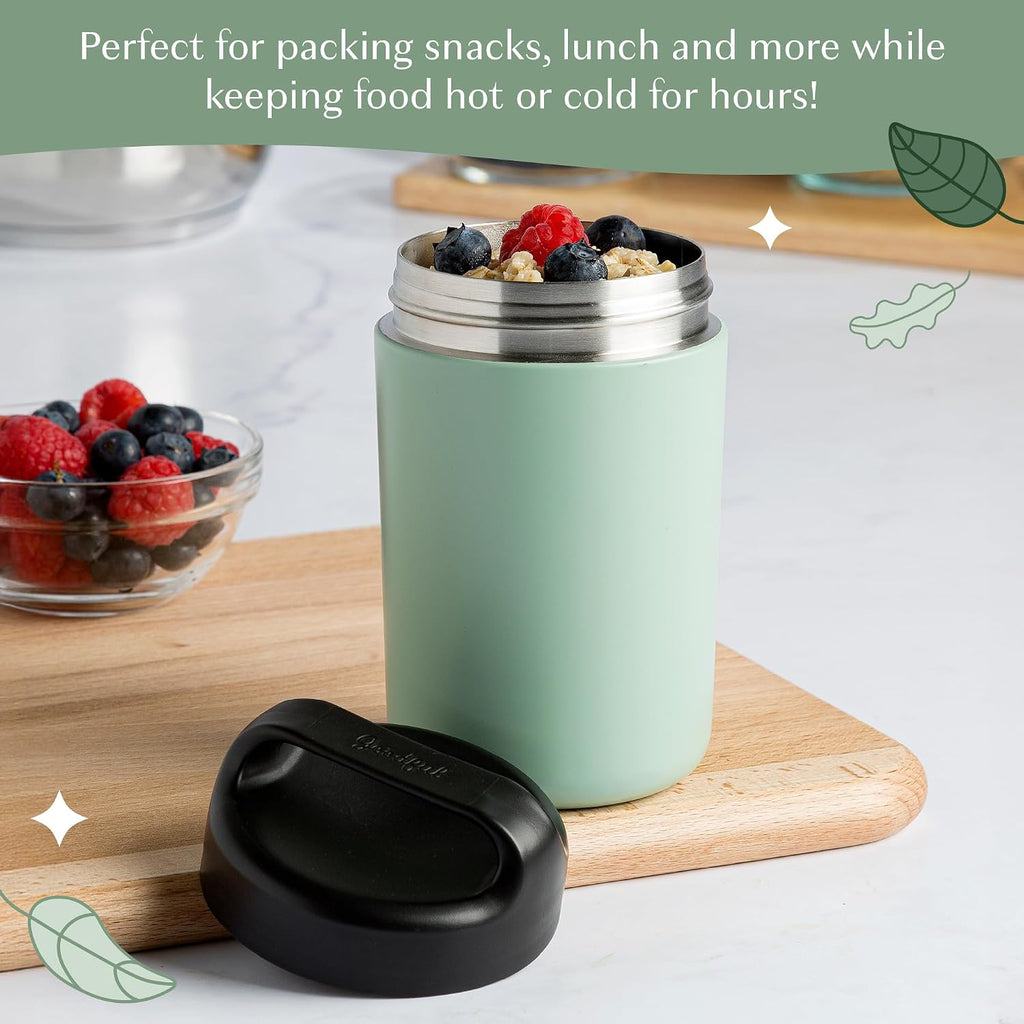Stainless Steel Food Jar, Double Wall Vacuum Sealed Insulated Food Storage Container with Carry Handle Lid, 16-Ounce