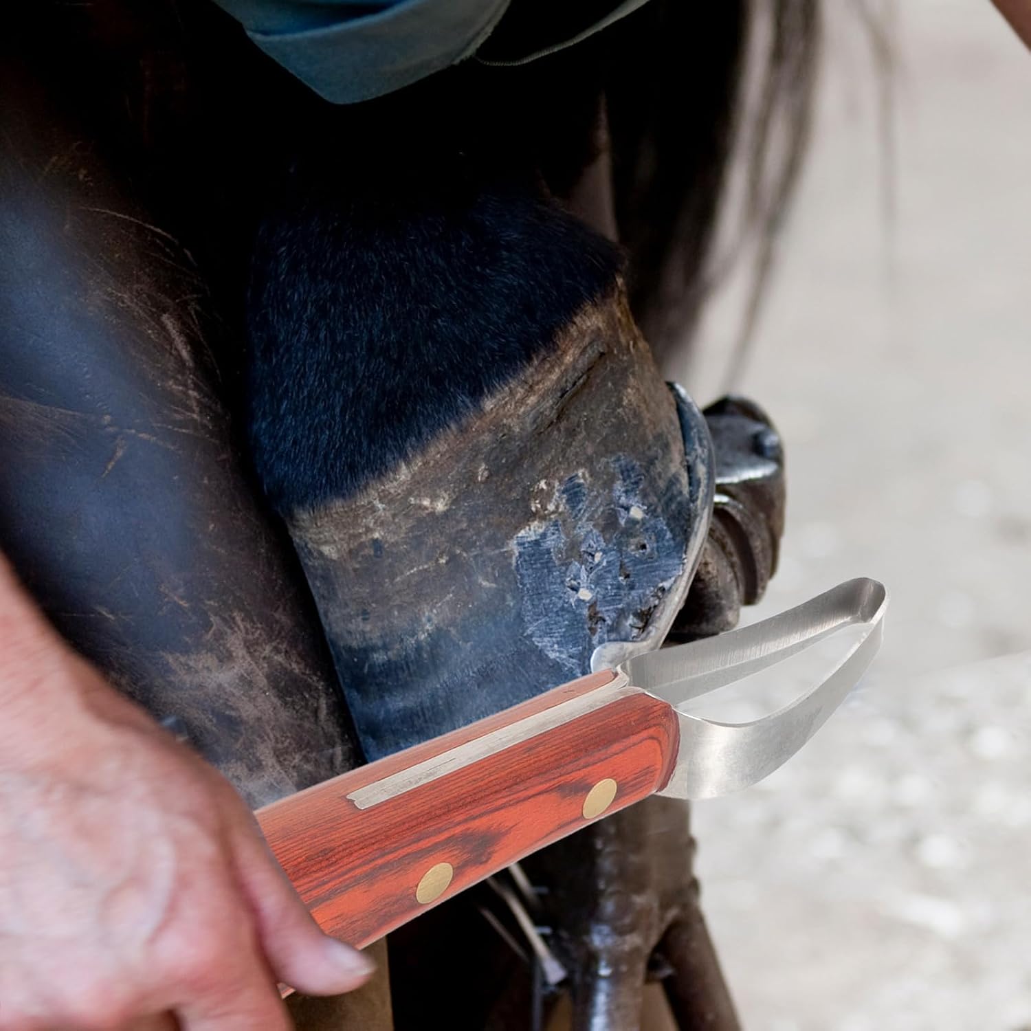Manganese Steel Hoof Trimmer and Wear-Resistant Reusable Hoof Cutter Compact Farrier Tool for Daily Use in Horse Care