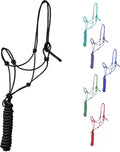 1/4" Rope 4 Knot Stiff Polyester Training Halter with 10’ Matching Lead Rope for Horses – Full (Black, Full)