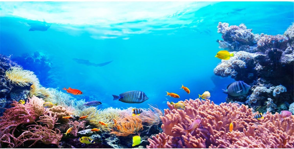 48x24 in Underwater Aquarium Backdrop Colorful Coral Fish Tank Background