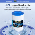 4CH-21 SPA Filter Replaces PDM25P4 2PACK