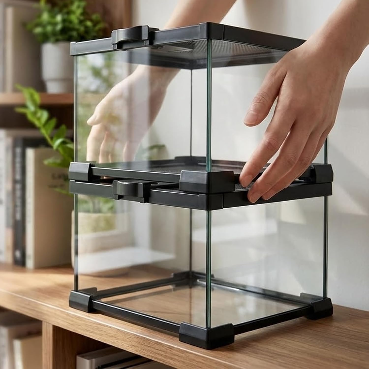 Small Glass Reptile Enclosure: 8x8x6 Full View Tarantula Enclosure | Lockable Sliding Screen Top Glass Terrarium