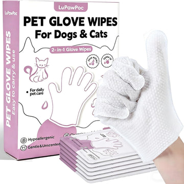 Cat Grooming