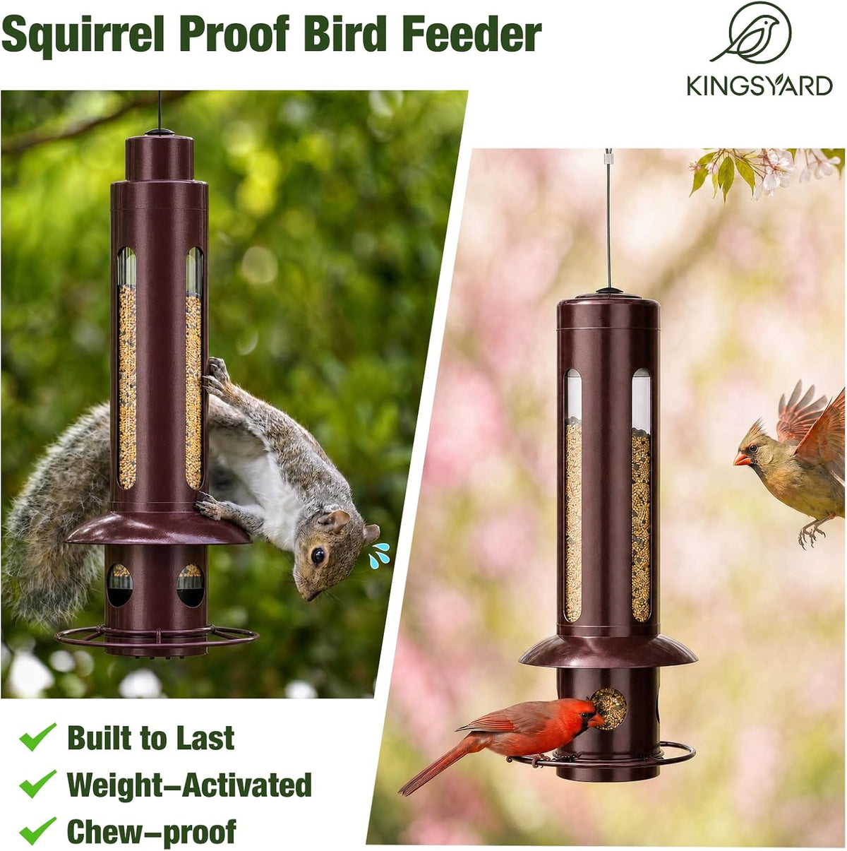 Squirrel Proof Hanging Bird Feeder for Outdoors