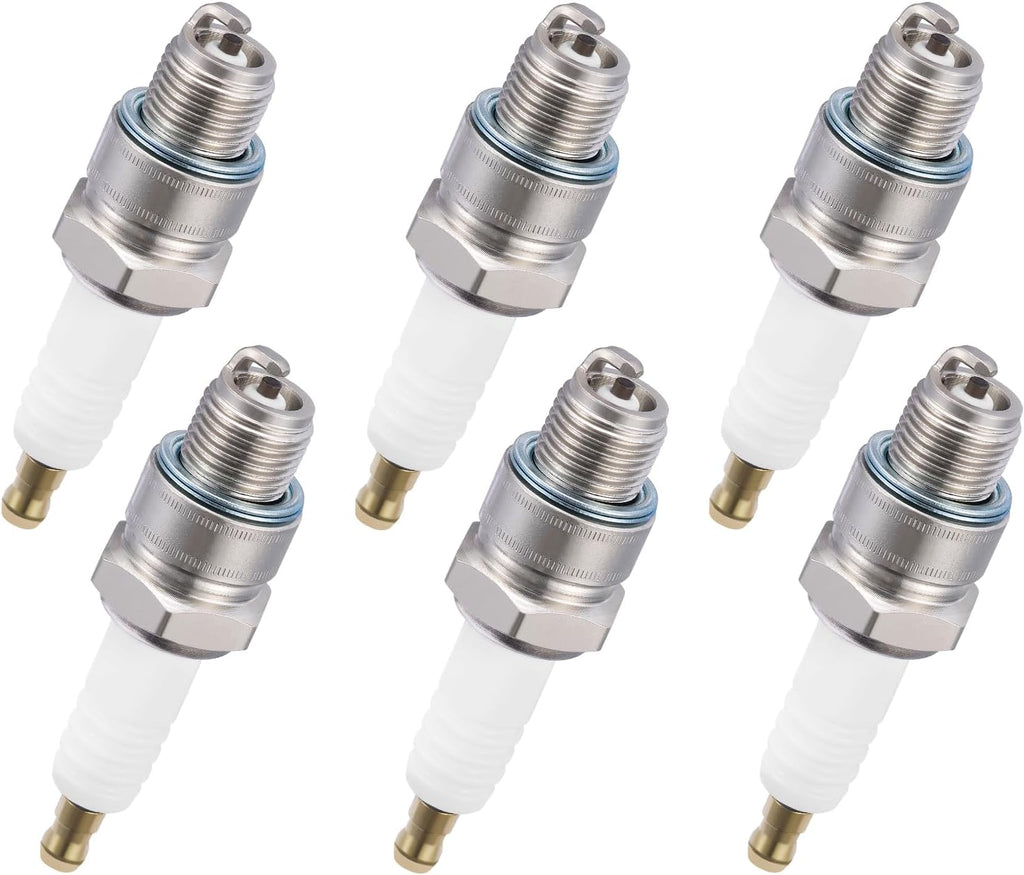 BDFHYK Iridium Spark Plugs Set of 6 Replacement for BR8HS-10 1134