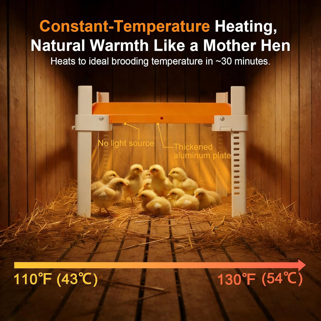 Chicken Coop Heater, Briidea Chick Brooder Heating Plate with 110–130℉ Constant Temperature for Chick Safety