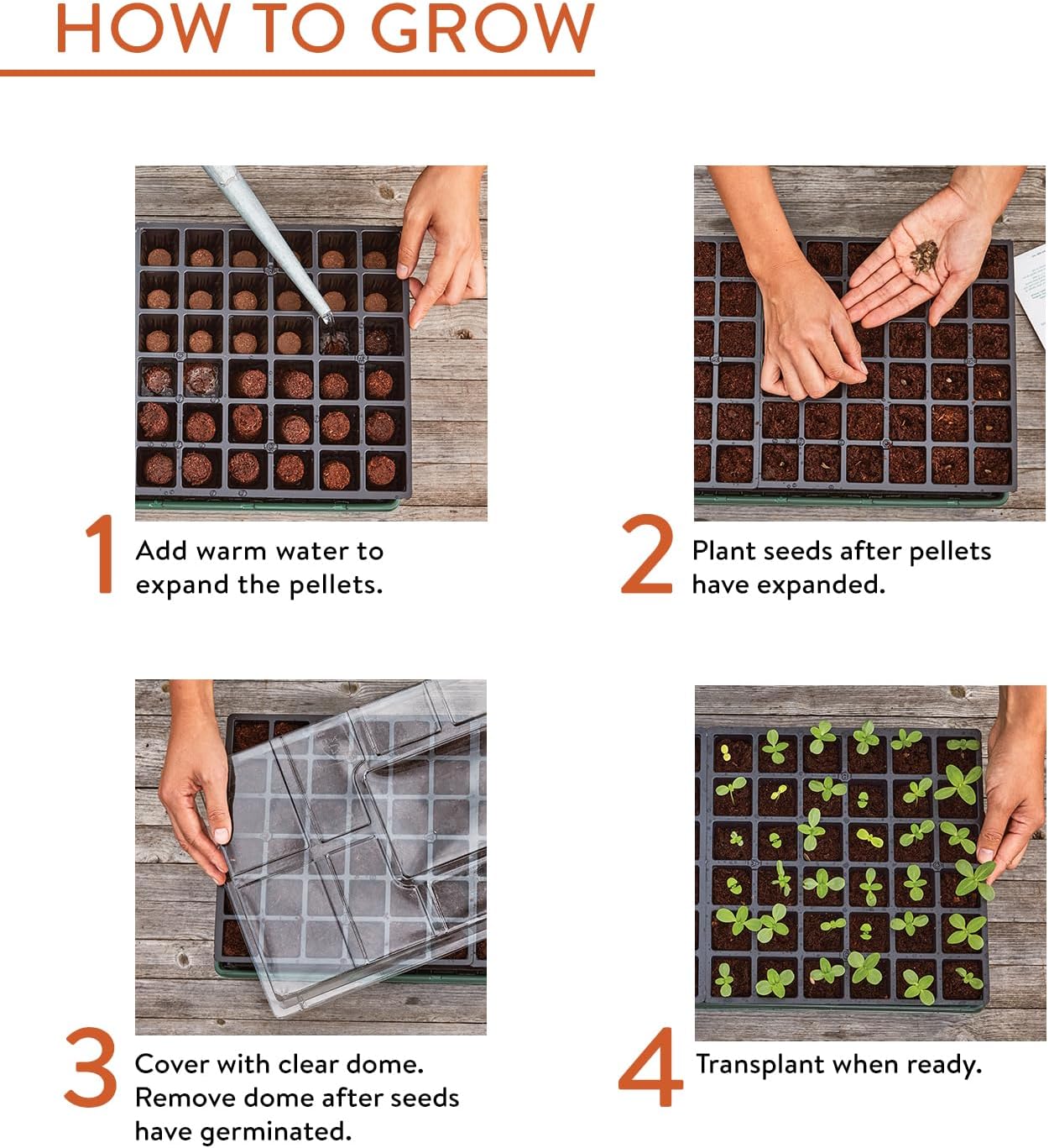 Greenhouse Indoor Starting Herbs, Flowers and Vegetables | Includes Dome, Watering, Seed Starter Tray, Coir Pellets |