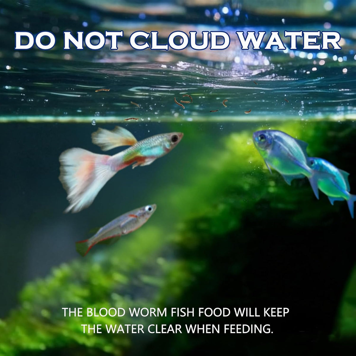 Freeze Dried Blood Worms Fish Food - High Protein Natural Aquatic Food for Tropical & Saltwater Fish, Betta