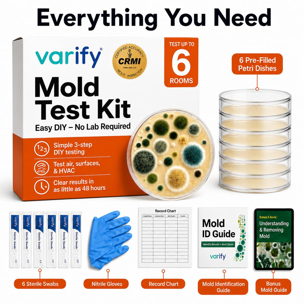 Mold Test Kit for Home Air Quality | Air Quality Test Kit & Black Mold Detector for Home | 6-Petri-Dish Indoor