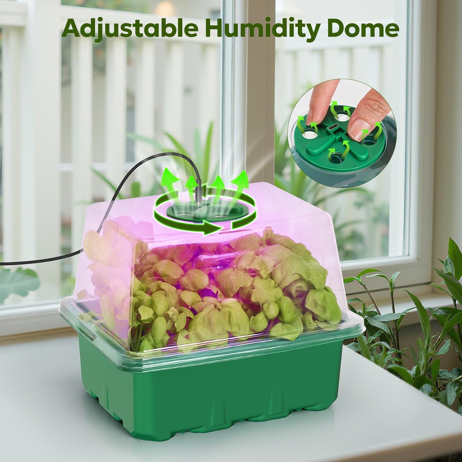 Seed Starter Kit with Grow Light, Elevated Seedling Tray Kit with Adjustable Humidity Dome and Clear Cell Tray, 12