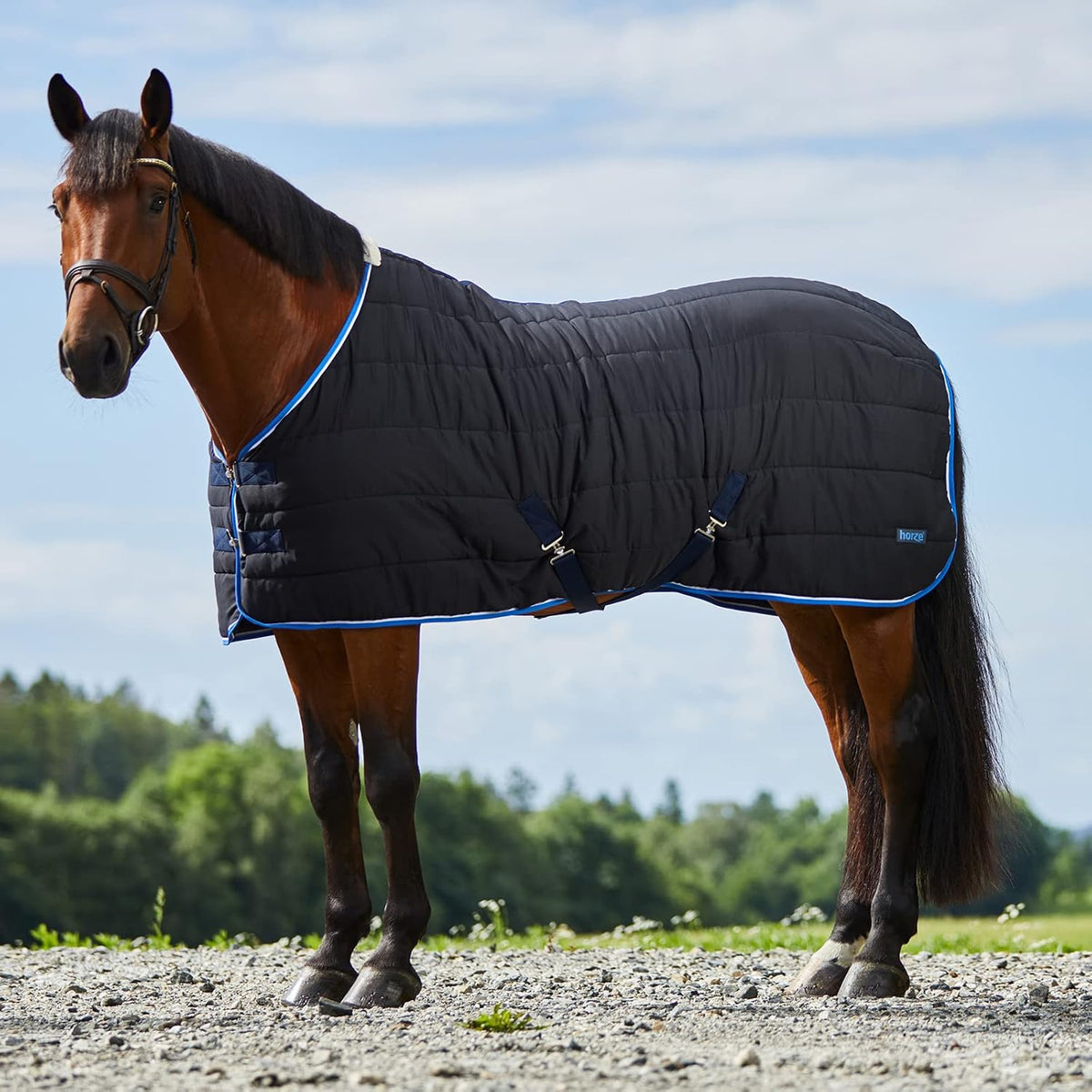 Glasgow Anti-Slip Stable Horse Blanket (100g Fill) - Dark Blue - 75 in