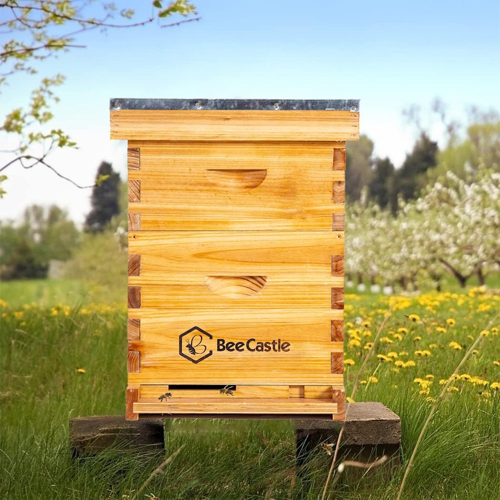 10-Frames Complete Beehive Kit, 100% Beeswax Coated Bee Hive Includes Beehive Frames and Beeswax Coated Foundation