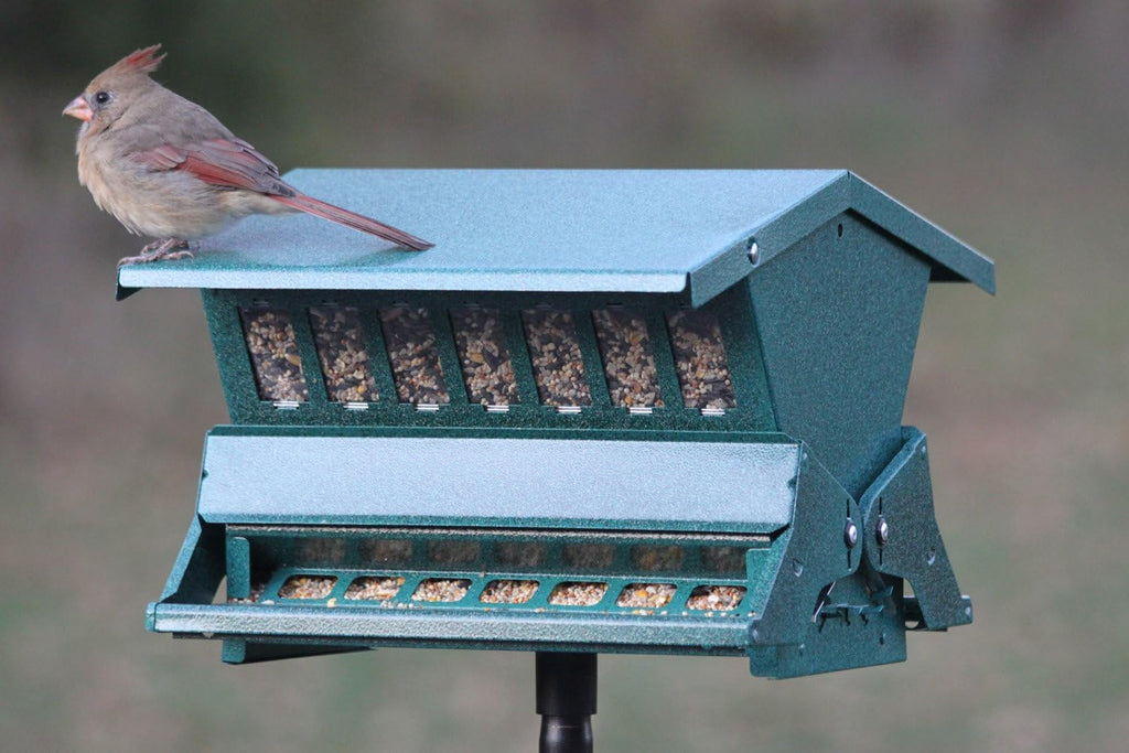 Absolute II Squirrel Resistant Bird Feeder Model 7536, 12 lbs, Model:301045