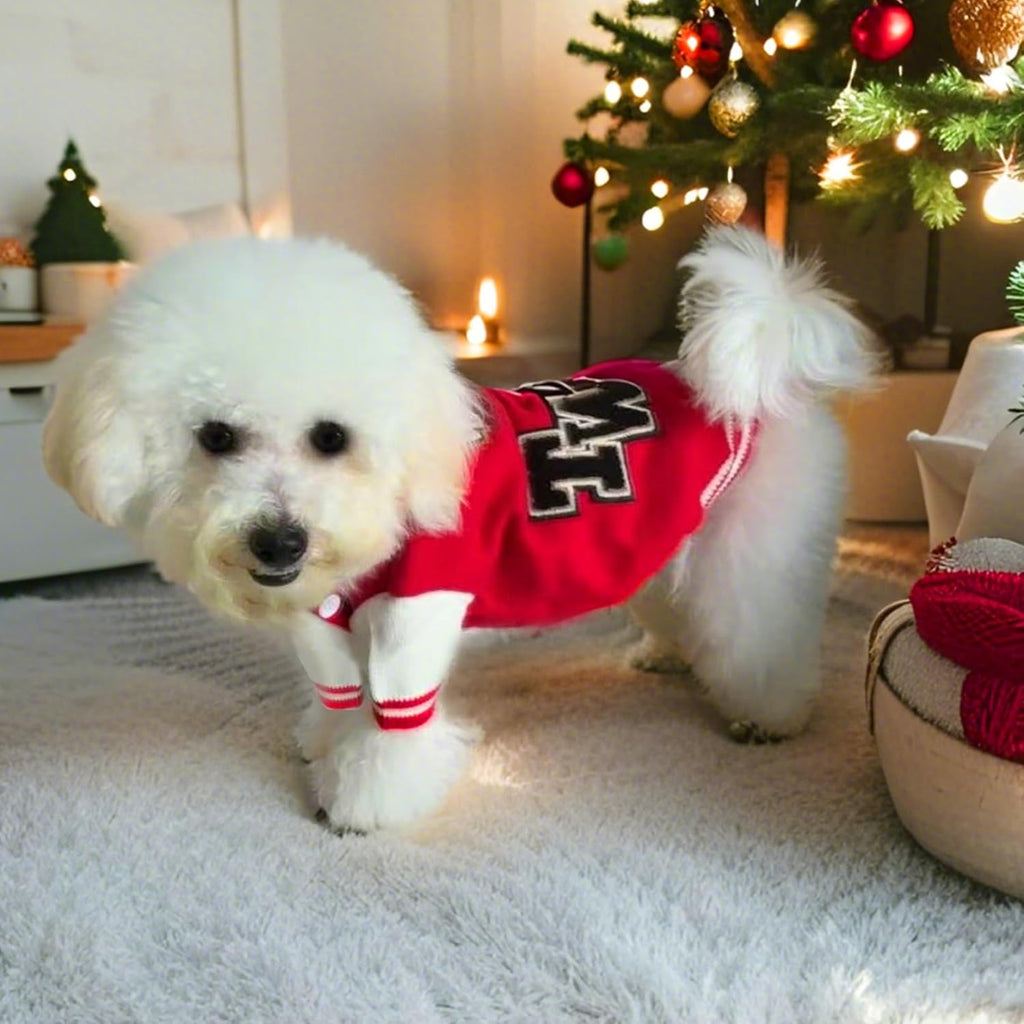 Dog Varsity Sweaters for Medium Dogs, Brushed Fleece Dog Sweater Baseball Jacket Pet Clothes with Bear Embroidery
