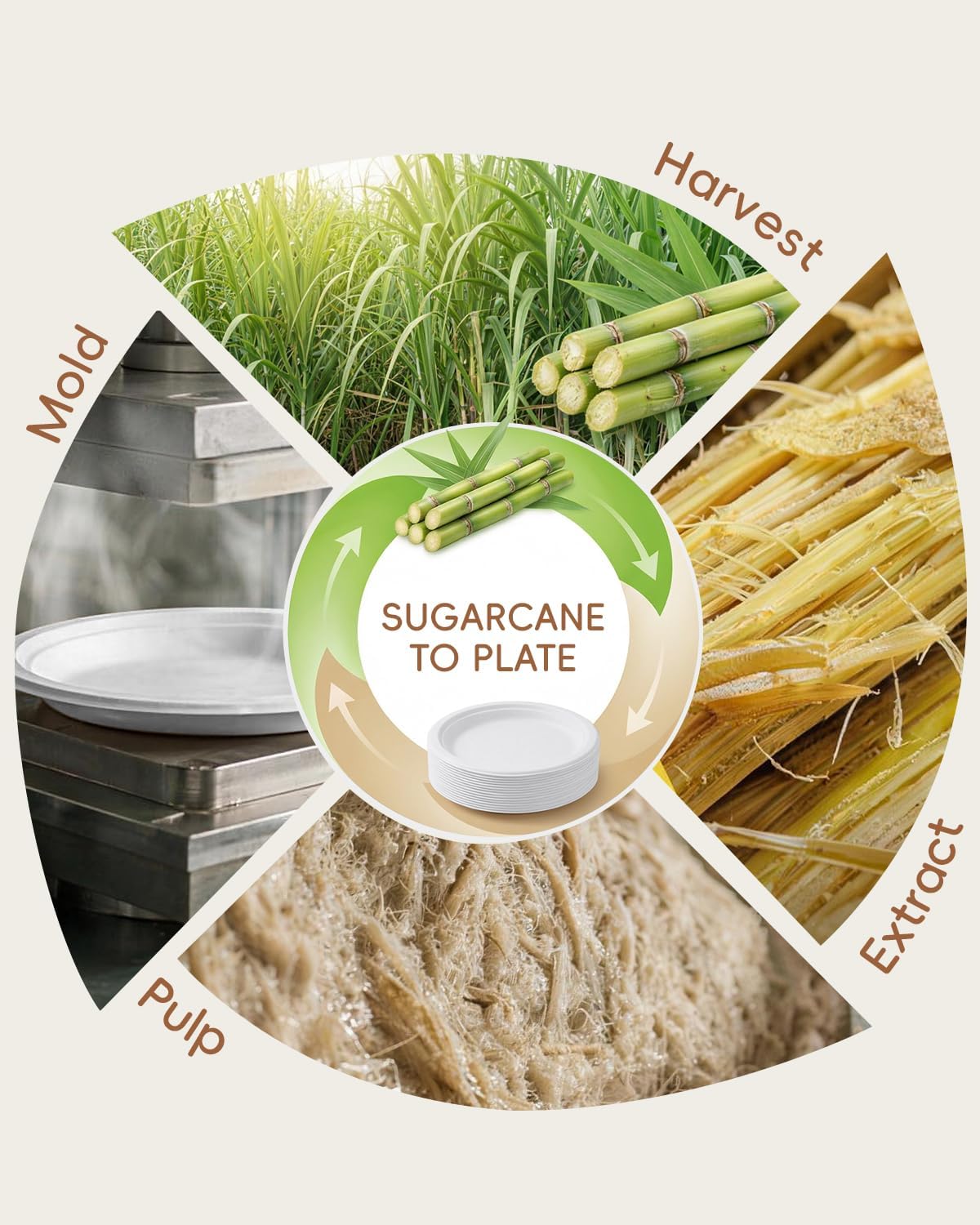 10 Inch White Compostable Sugarcane Paper Plates, 100 Pack