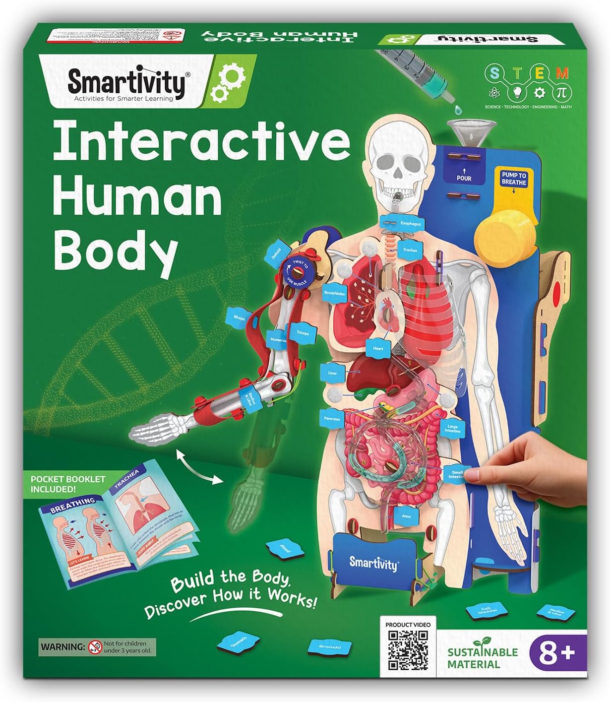 Interactive Human Body Model for Kids 8-14 Years I Dynamic Body Parts & Organs + Learning Booklet | Birthday Gift for