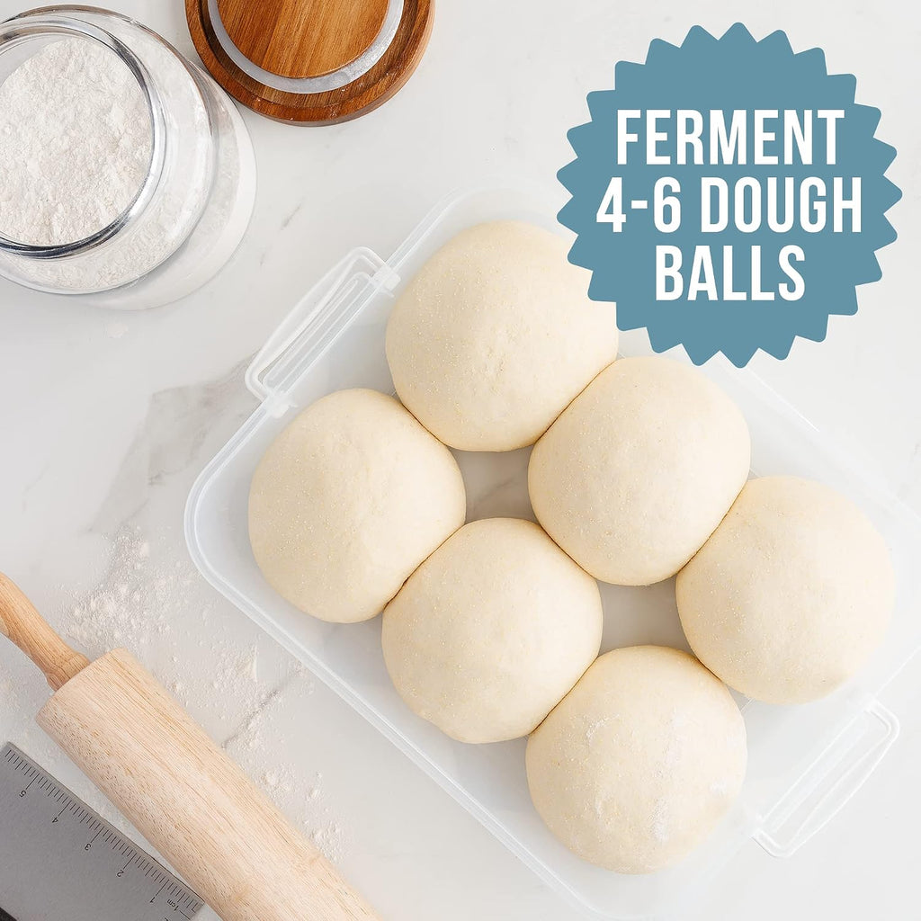 Pizza Dough Proofing Box with Lid, 14x11 In, Blue