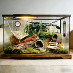 20-Piece Bearded Dragon Tank Accessories Set