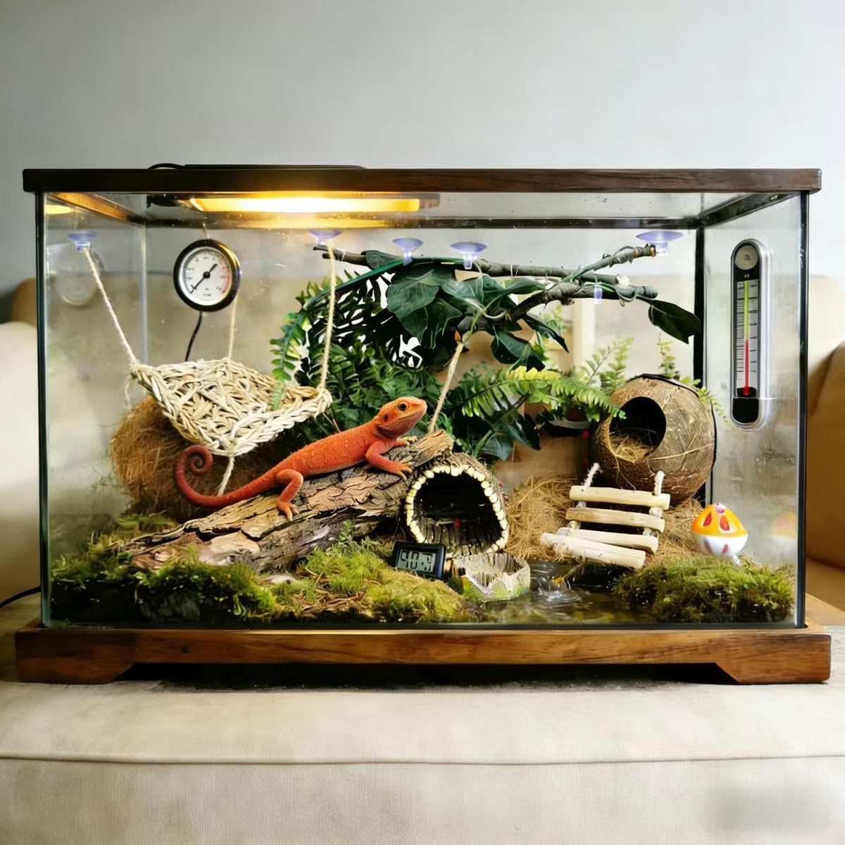 20-Piece Bearded Dragon Tank Accessories Set