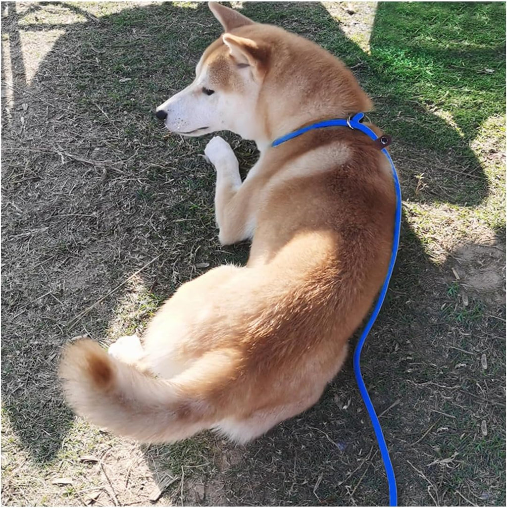 Slip Lead Control Leash for Dogs Training, 7ft x 1/4", Dark Blue
