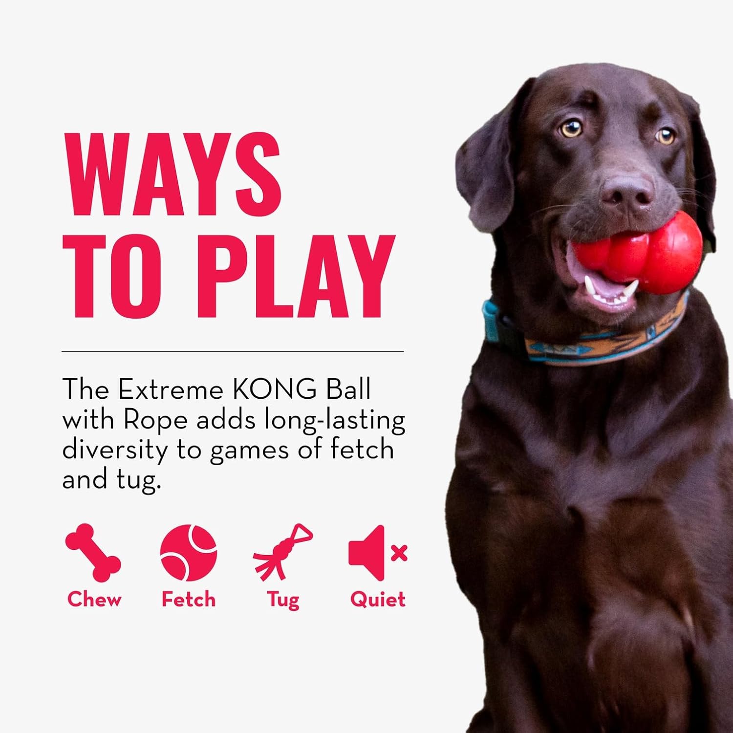 Extreme Ball with Rope - Dog Fetch Toy with Rope for Easy Throwing - Durable Dog Ball Toy for Tug, Playtime & More s