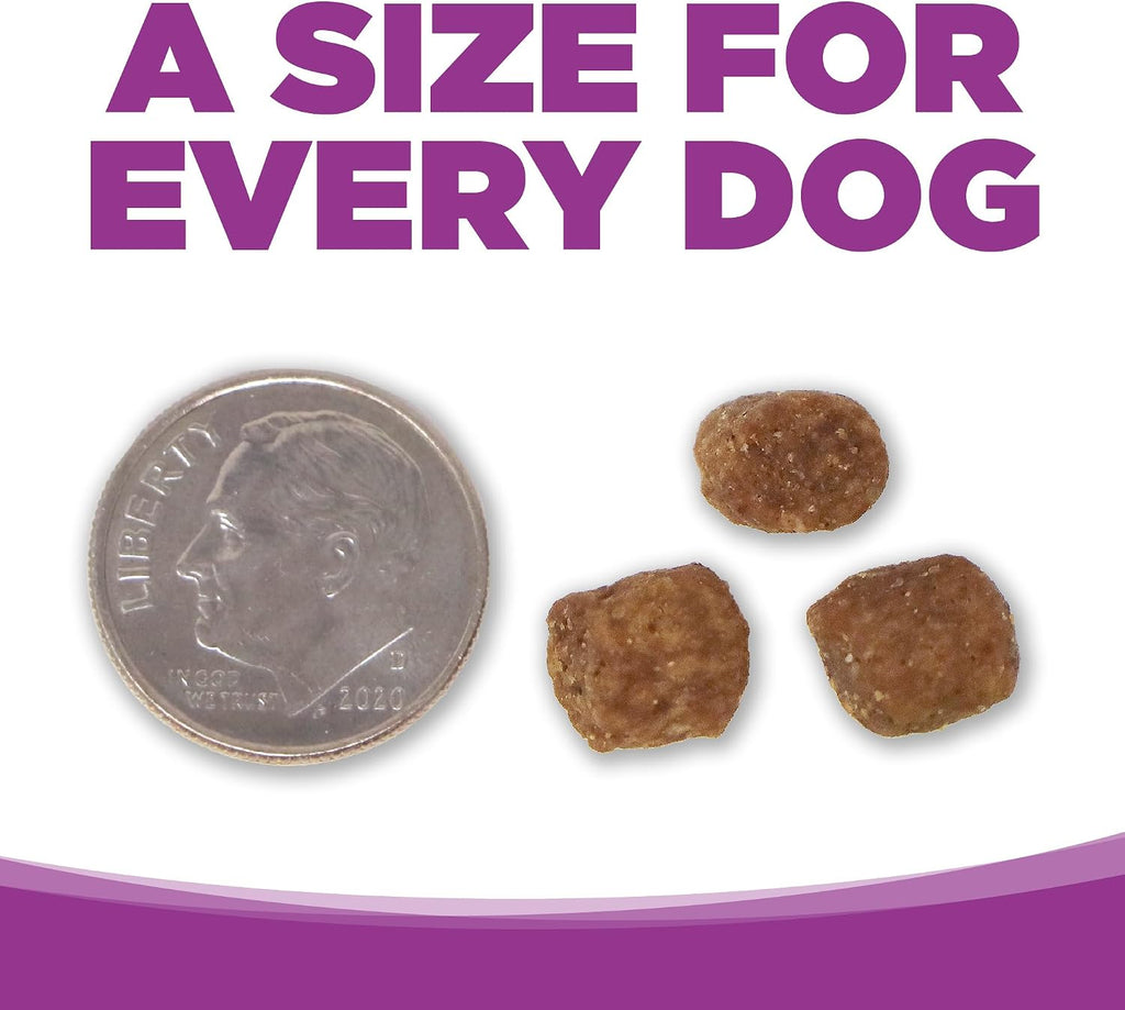 Puppy Food for Large Breeds, Chicken and Rice, 4LB