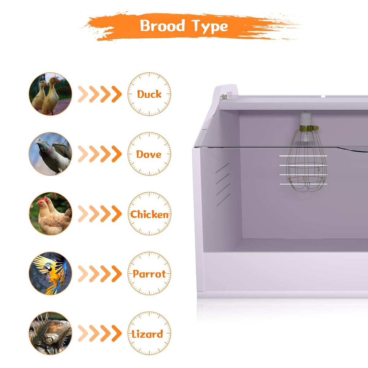 Brooder Box for Chicks