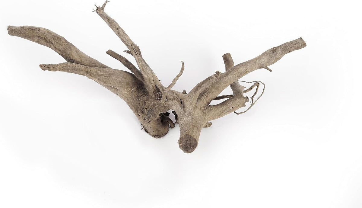 Spider Wood Natural Aquarium Decor Branches 4pcs 12-16in Decoration