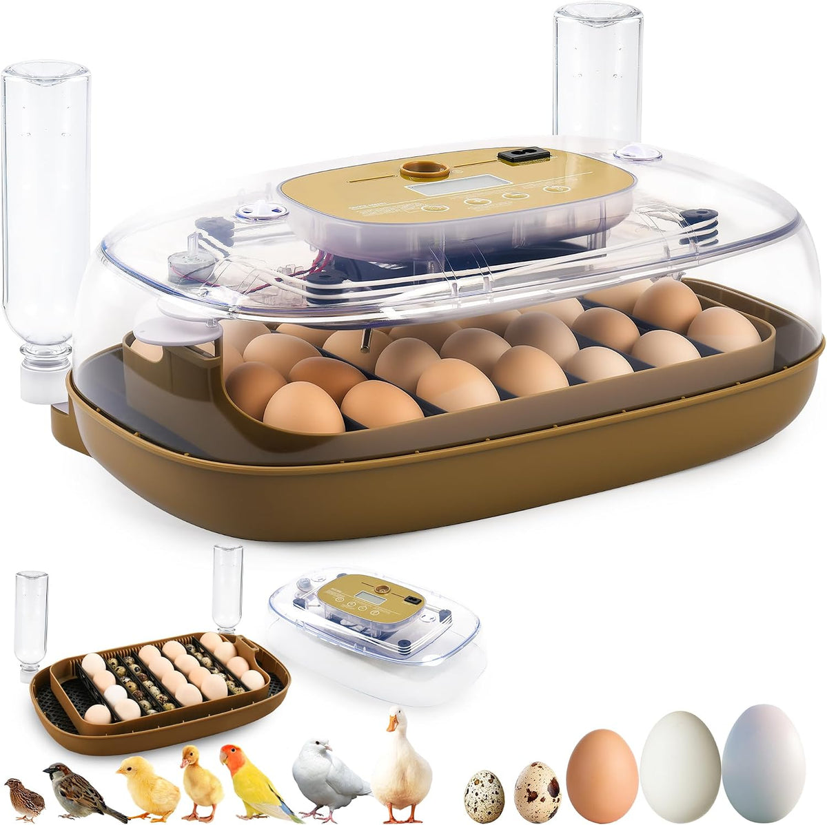 24 Eggs Incubator with Auto Water Refill & Humidity Control, Automatic Egg Turner, Built-in LED Candler, Species