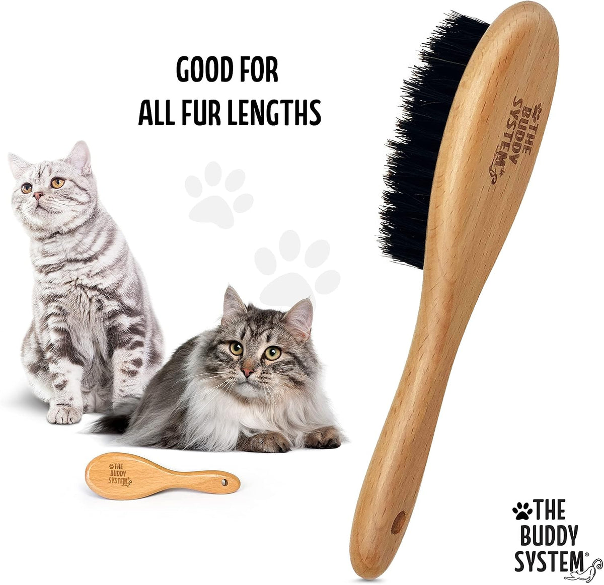 Soft Cat Brush with Boar Bristles, 1 Pack