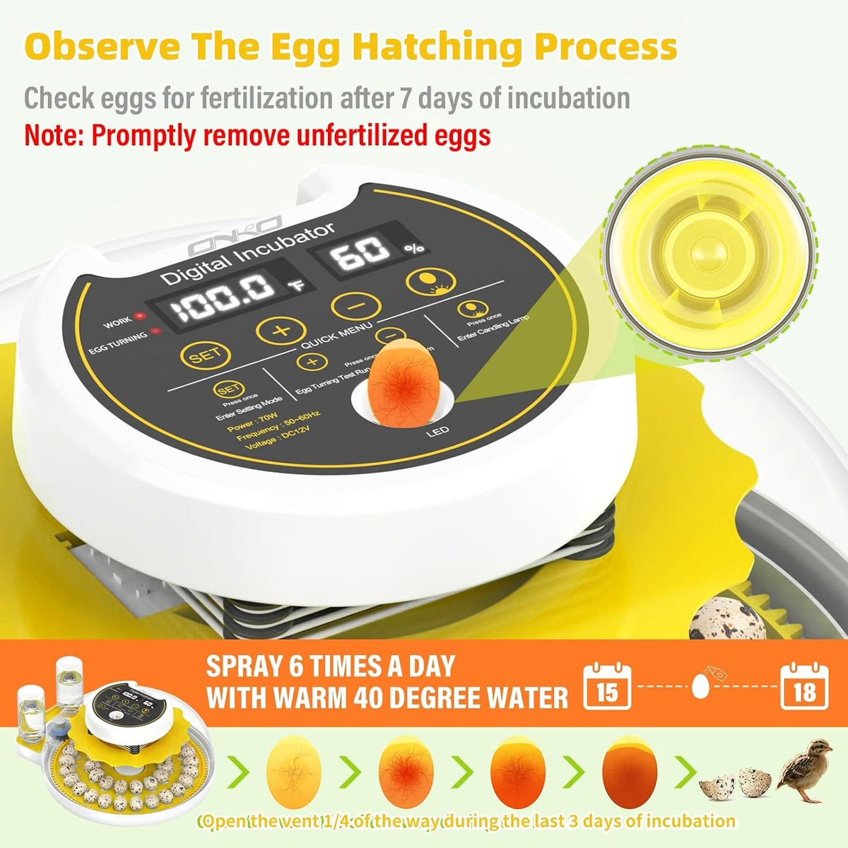 Quail Egg Incubator for Hatching 40 Quail Eggs with Automatic Turner