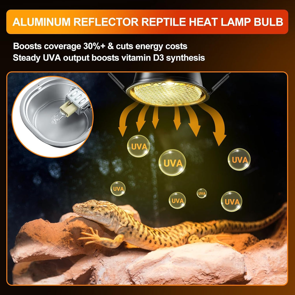 G9 Reptile Heat Lamp Bulb & Reptile Light Fixture with Safety Mesh Kit, 50W UVA Basking Light Fixture for Bearded