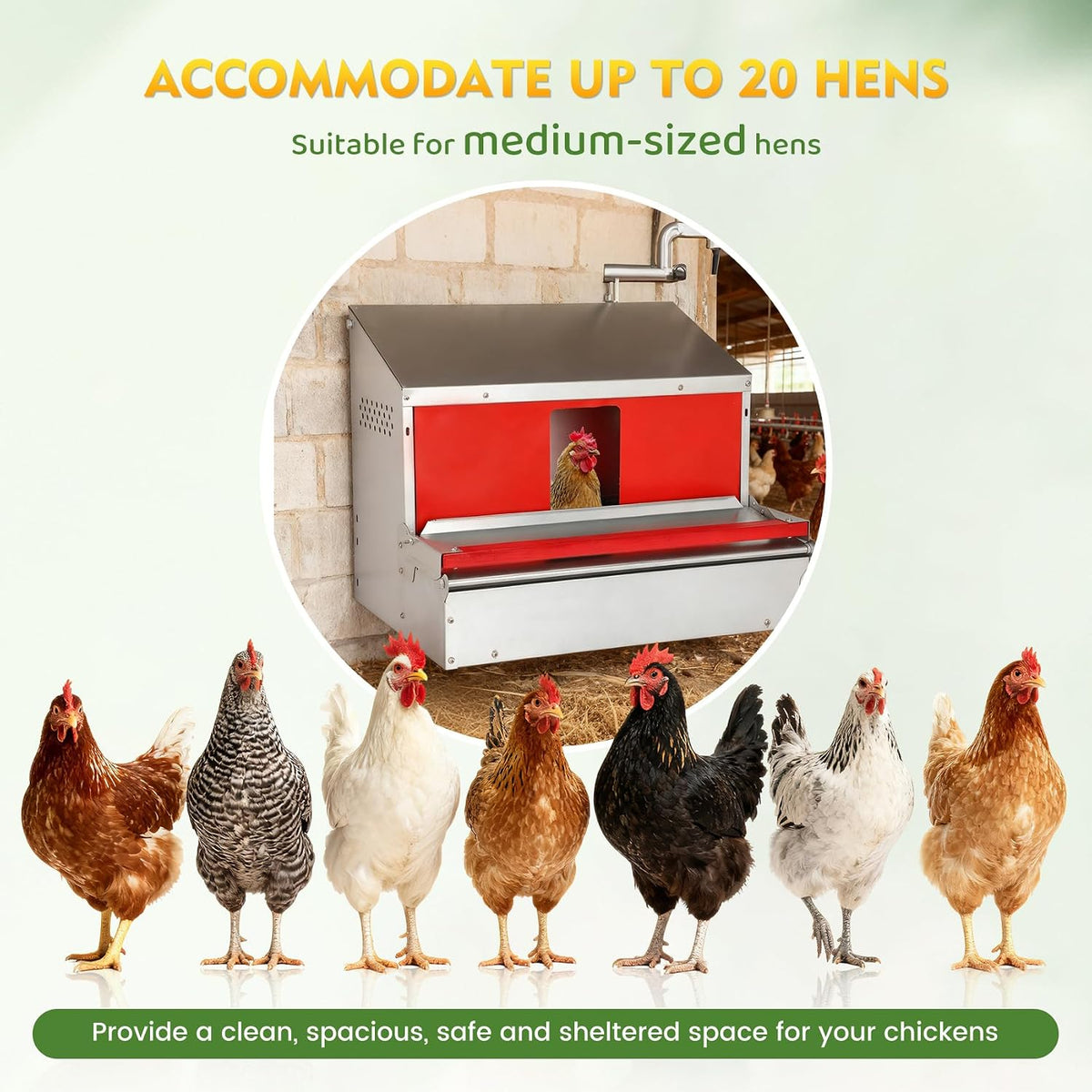 Chicken Nesting Box, Metal Chicken Laying Box with Roll Away Egg Collection, Reversible Wall Mountable Chicken Coop