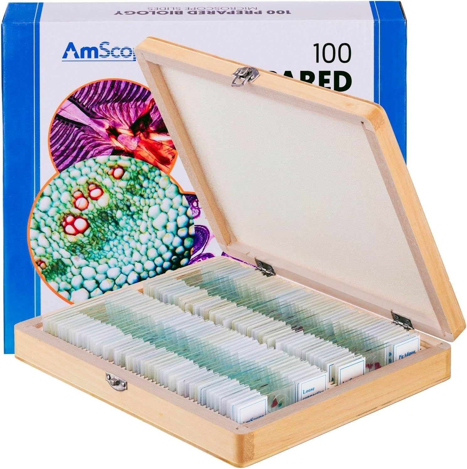 PS100B Prepared Microscope Slide Set for Basic Biological Science | 100pc Prepared Slides Professionally Stained &