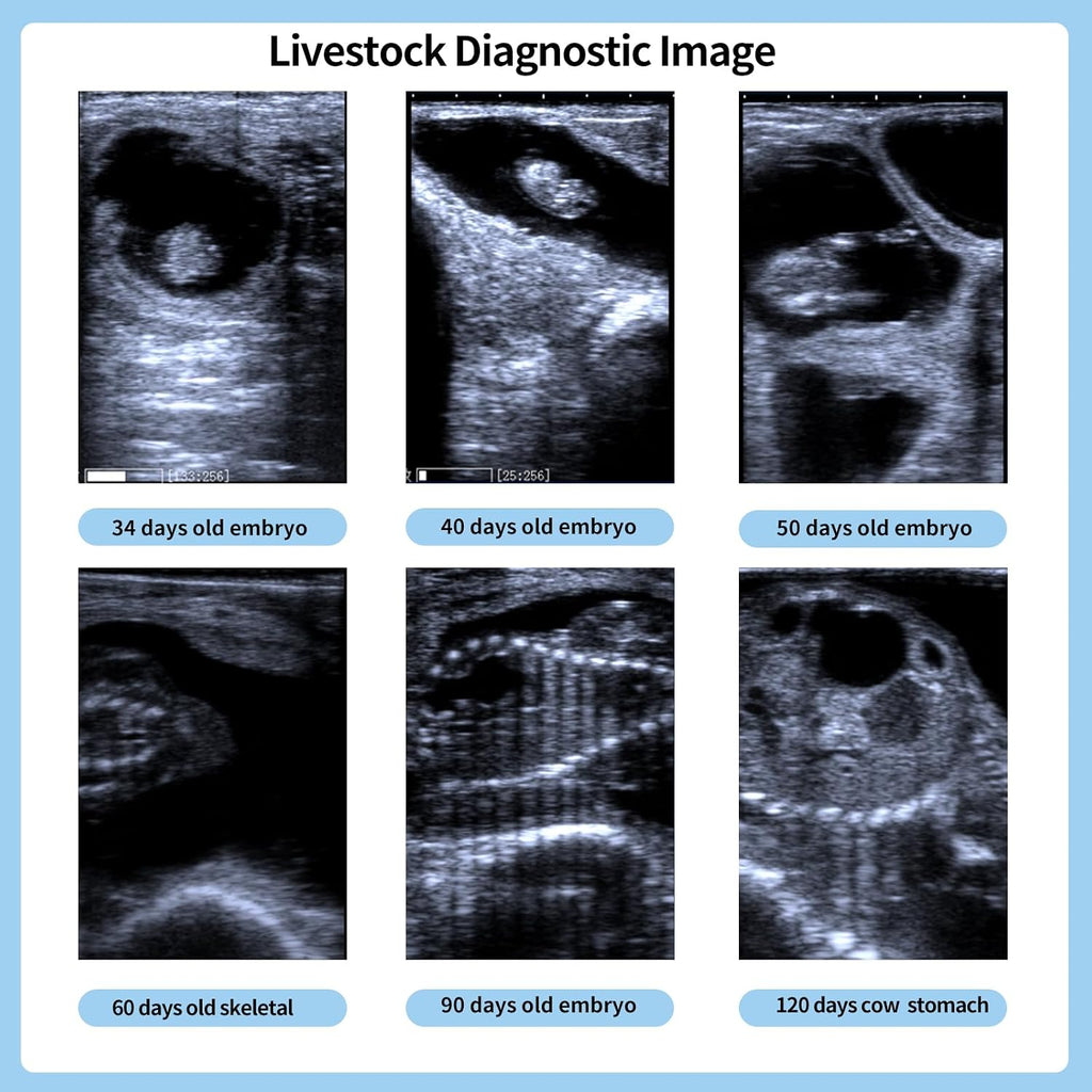 A8 Portable Veterinary Ultrasound Machine for Pregnancy Check,5.7” HD Display,Beginner-Friendly Handheld Scanner for