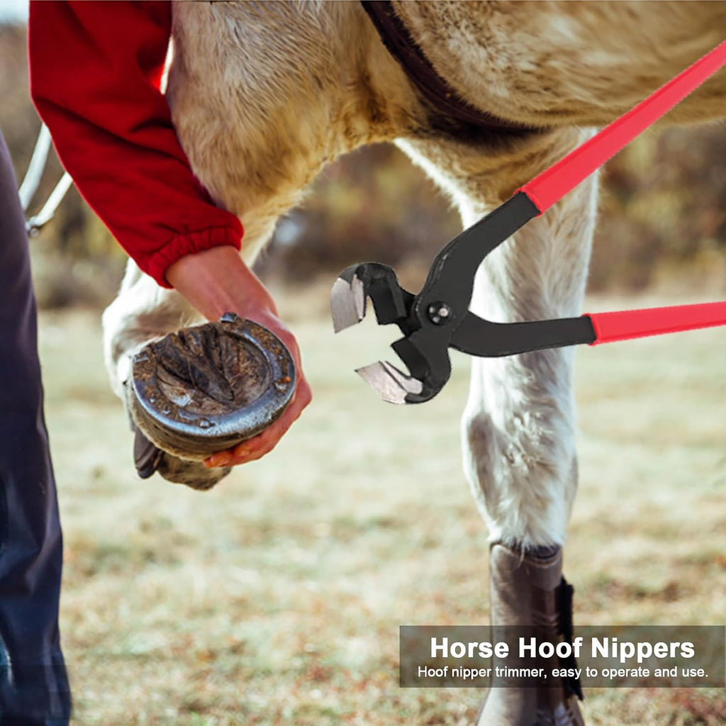 14" Farrier Tool Kit - 8Pc Horse Hoof Trimming Tools Set