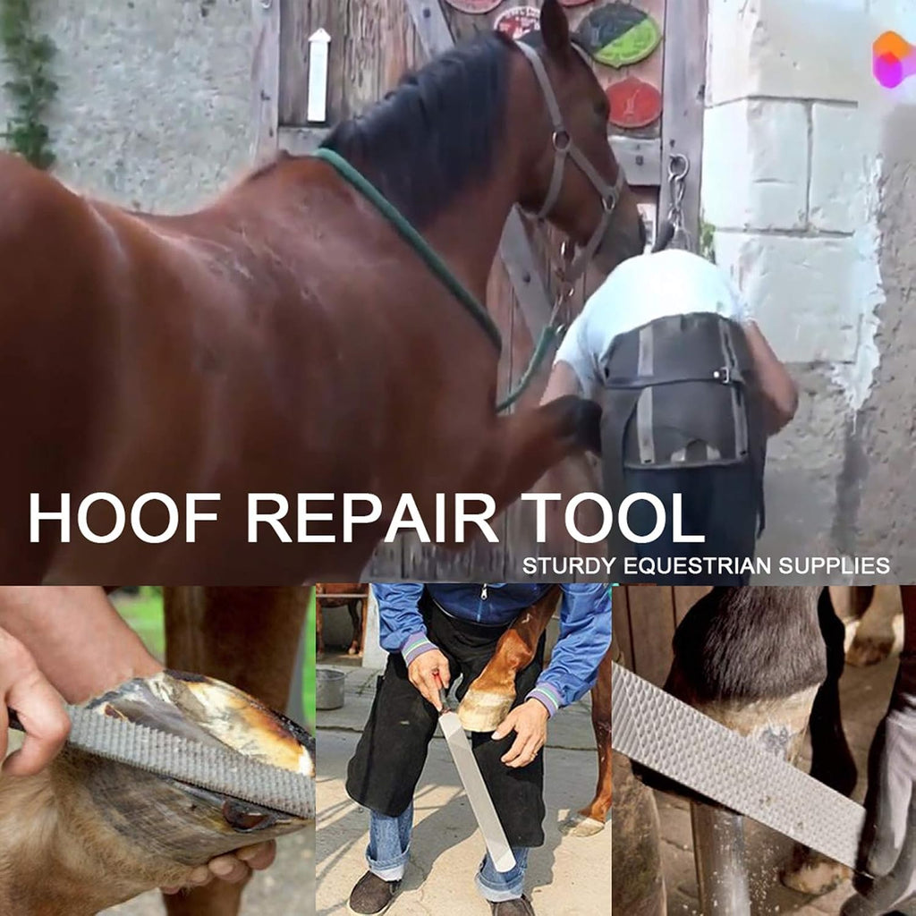 14" Farrier Tool Kit - 8Pc Horse Hoof Trimming Tools Set
