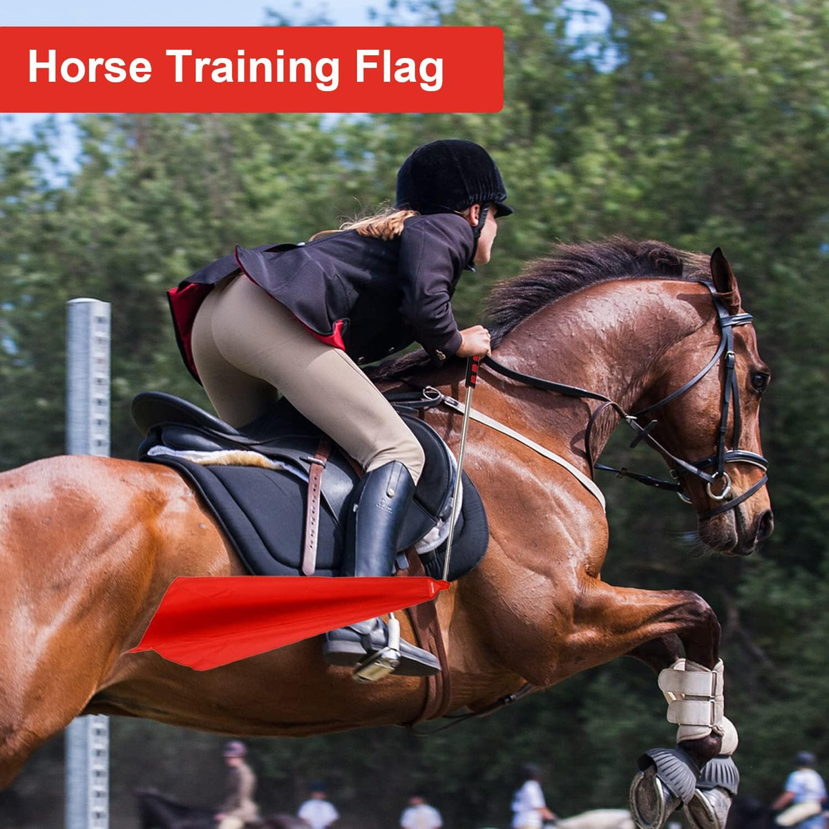 Horse Training Flag Equipment 10 Pcs with 2 Pcs Telescopic Flag Pole Lunge Longeing Stick for Horsemanship Supplies