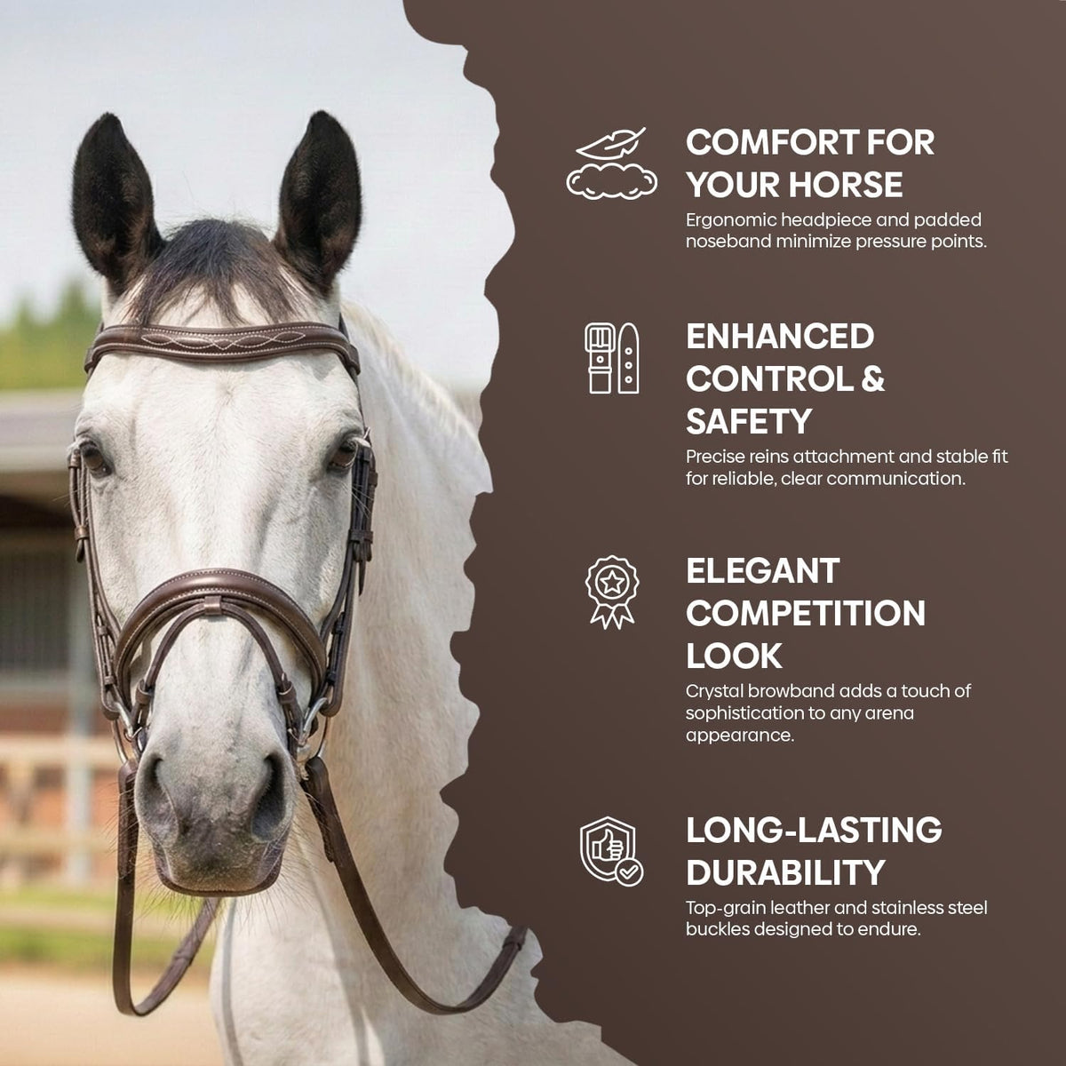 English Horse Bridle with Reins, Padded, 6 Browband Styles