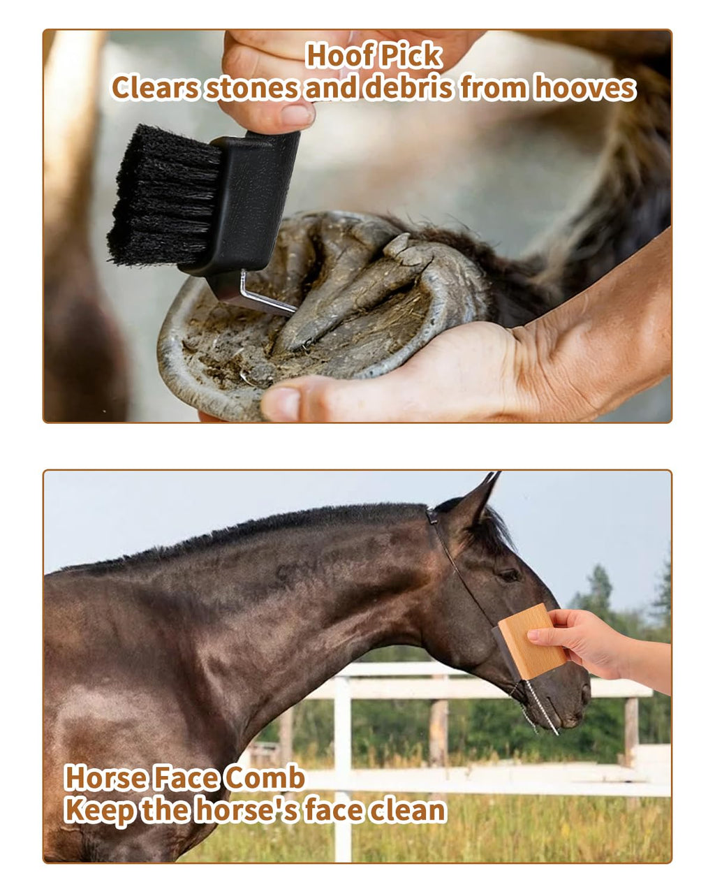 Horse Grooming Kit 13 Piece, Complete Horse Brushes & Grooming Supplies Set with Organizer Bag, Curry Comb, Hoof