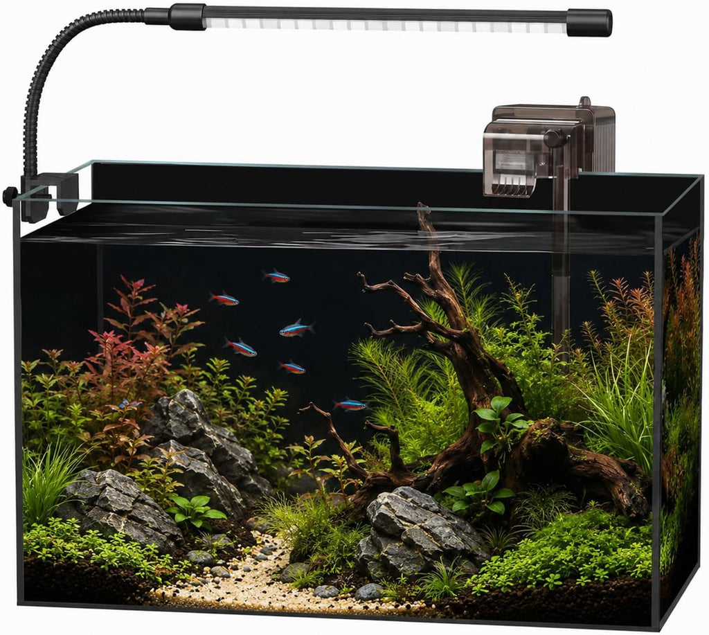 5 Gallon Glass Aquarium Starter Kit, Rimless Fish Tank