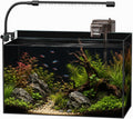5 Gallon Glass Aquarium Starter Kit, Rimless Fish Tank