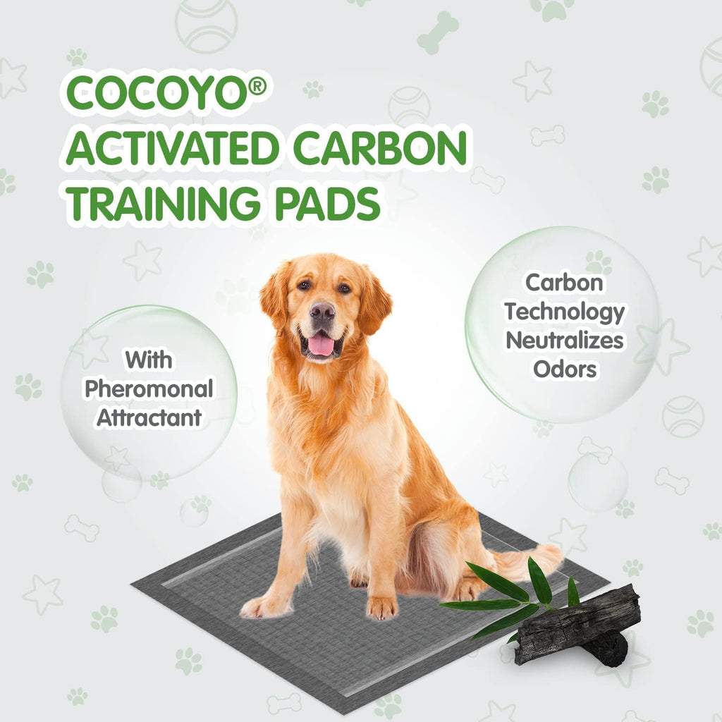 Dog Training Pads Extra Large Size丨Carbon Absorb Eliminating Urine Odor Puppy Pads 丨 Premium Charcoal Dog Pee Pads