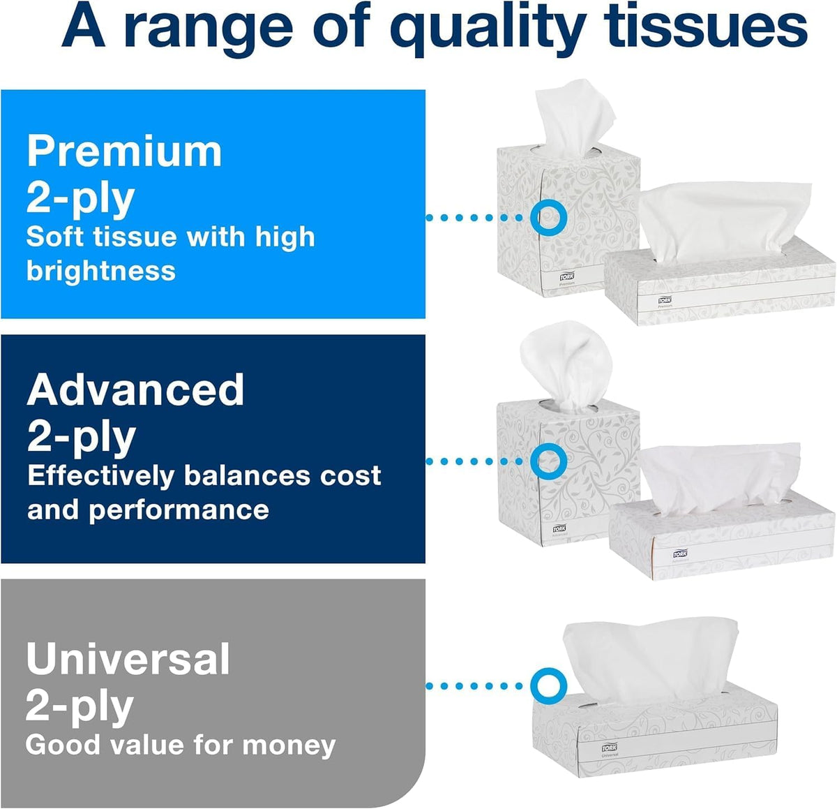 Advanced Facial Tissue White Soft, F1, 30 Boxes x 100 tissues, TF6810