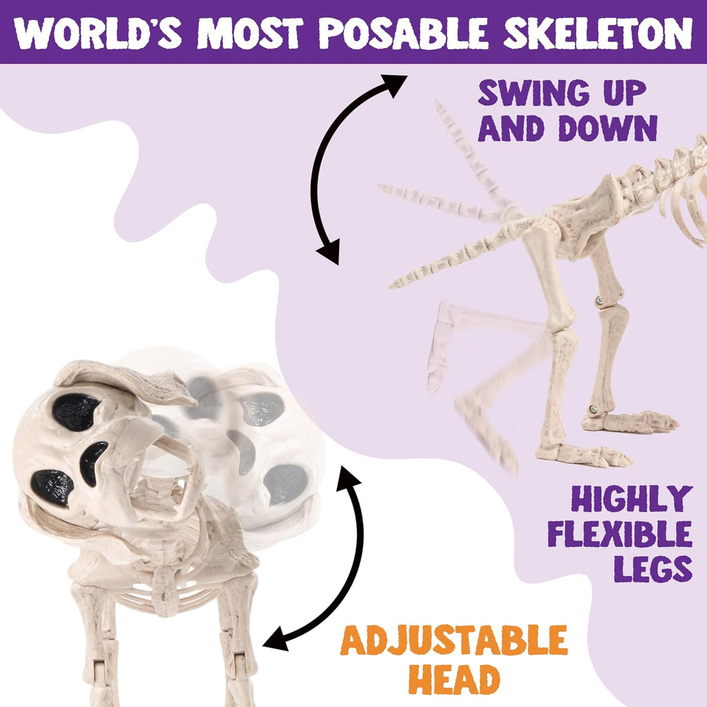 Posable Halloween Dog Skeleton Full Body Posable Joints Realistic Skeleton Puppy with Movable Joints for Halloween