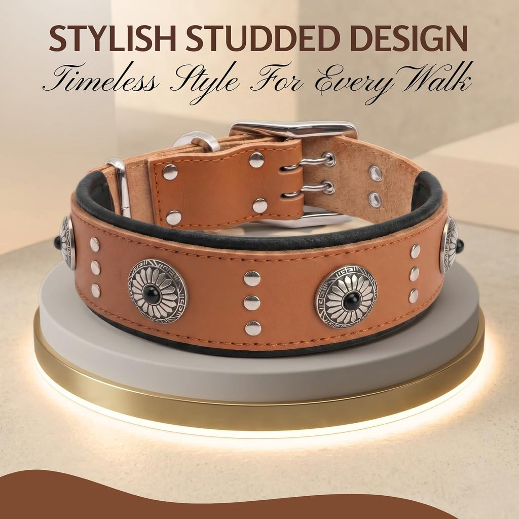 Studded Leather Dog Collar for Large Dogs, Adjustable 19-24"